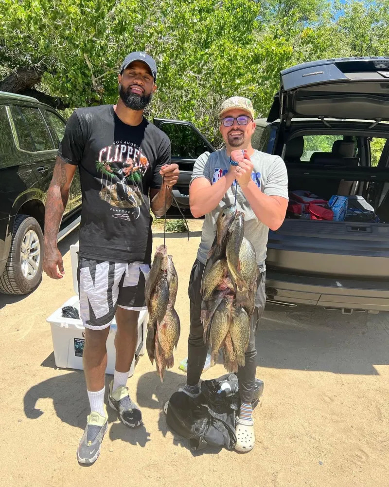 而是行为引 而是行为引